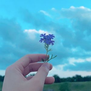 Meet your Posher, Nhi